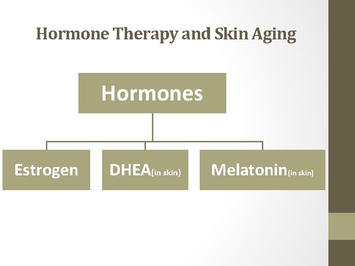 Hormone Therapy and Skin Aging Hormones Estrogen DHEA(in skin) Melatonin(in skin) 