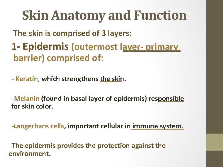 Skin Anatomy and Function The skin is comprised of 3 layers: 1 - Epidermis