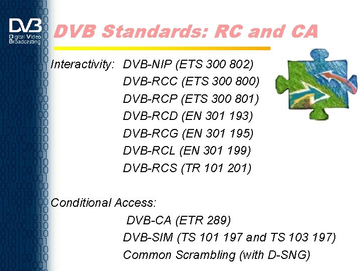 DVB Standards: RC and CA Interactivity: DVB-NIP (ETS 300 802) DVB-RCC (ETS 300 800)