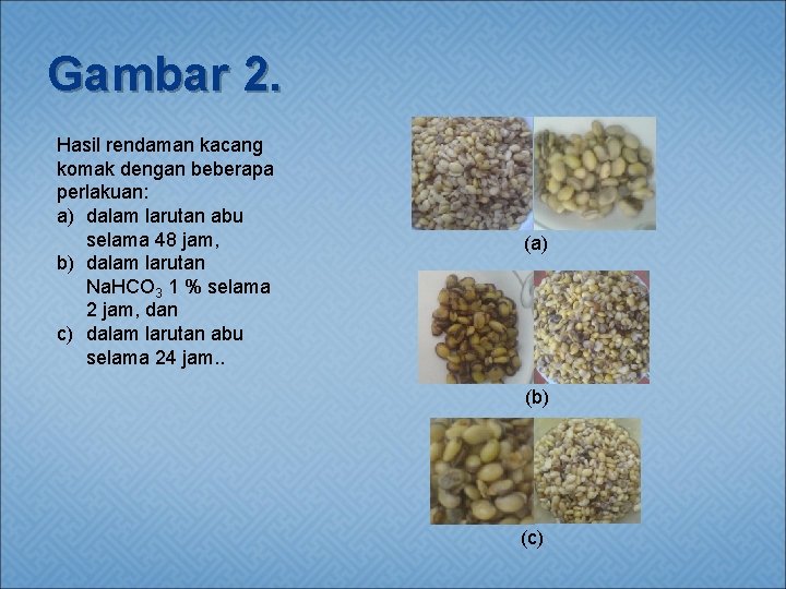 Gambar 2. Hasil rendaman kacang komak dengan beberapa perlakuan: a) dalam larutan abu selama