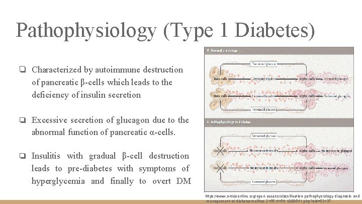 Pathophysiology (Type 1 Diabetes) ❏ Characterized by autoimmune destruction of pancreatic β-cells which leads