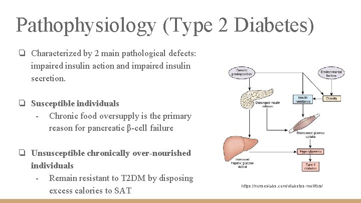 Pathophysiology (Type 2 Diabetes) ❏ Characterized by 2 main pathological defects: impaired insulin action