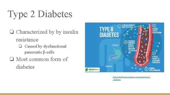 Type 2 Diabetes ❏ Characterized by by insulin resistance ❏ Caused by dysfunctional pancreatic