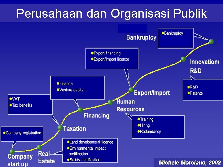 Perusahaan dan Organisasi Publik. . Michele Morciano, 2002 