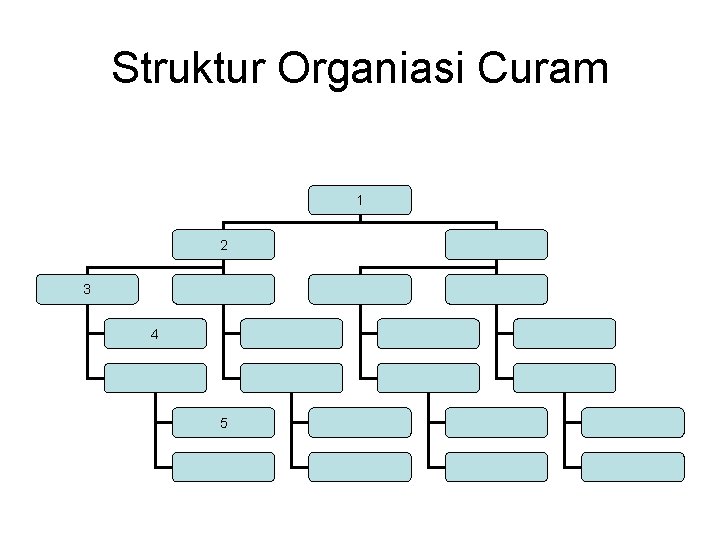Struktur Organiasi Curam 1 2 3 4 5 