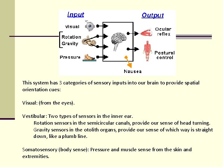 This system has 3 categories of sensory inputs into our brain to provide spatial