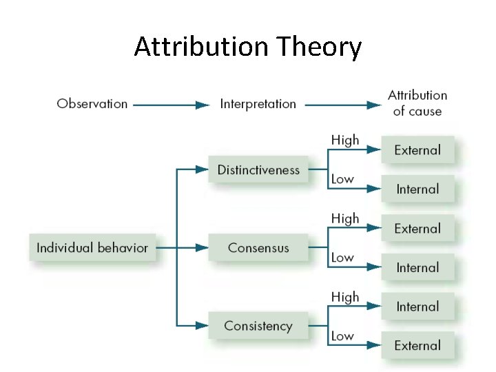 Attribution Theory 