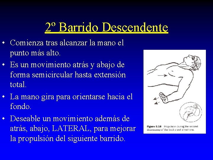 2º Barrido Descendente • Comienza tras alcanzar la mano el punto más alto. • 2º Barrido Descendente • Comienza tras alcanzar la mano el punto más alto. •