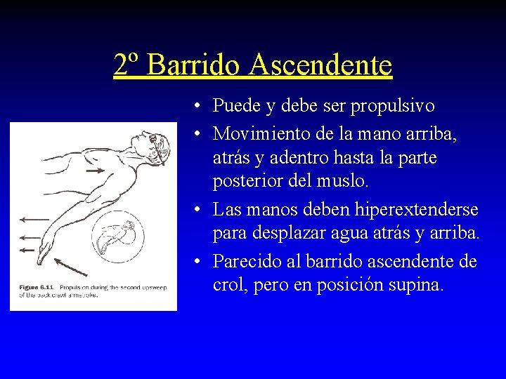 2º Barrido Ascendente • Puede y debe ser propulsivo • Movimiento de la mano 2º Barrido Ascendente • Puede y debe ser propulsivo • Movimiento de la mano
