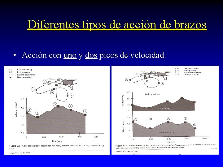 Diferentes tipos de acción de brazos • Acción con uno y dos picos de Diferentes tipos de acción de brazos • Acción con uno y dos picos de