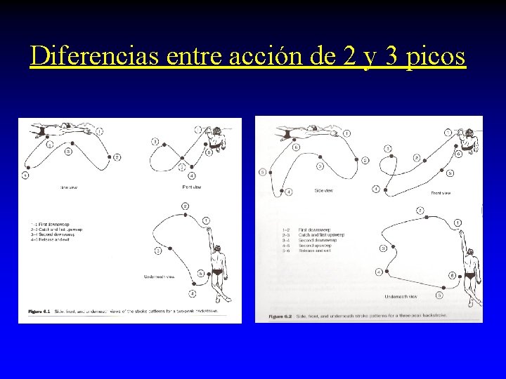 Diferencias entre acción de 2 y 3 picos Diferencias entre acción de 2 y 3 picos