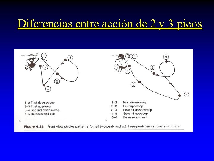 Diferencias entre acción de 2 y 3 picos Diferencias entre acción de 2 y 3 picos