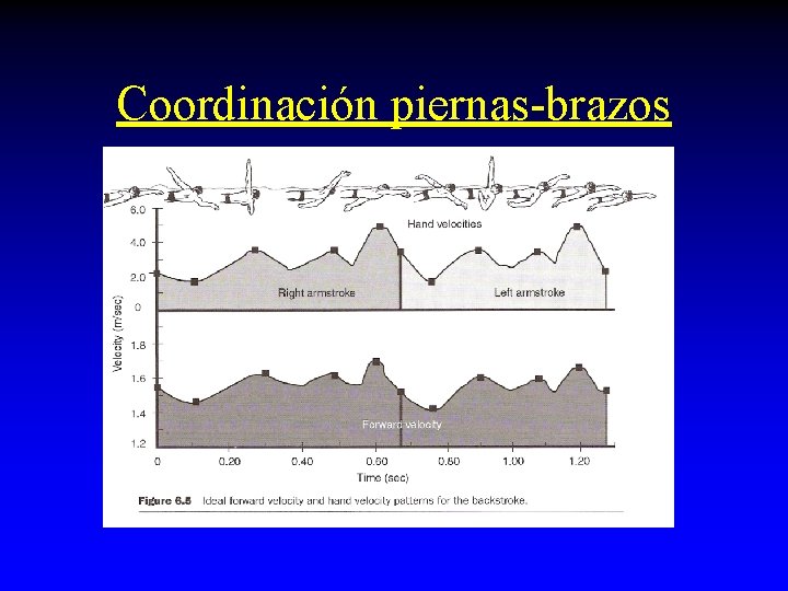 Coordinación piernas-brazos Coordinación piernas-brazos