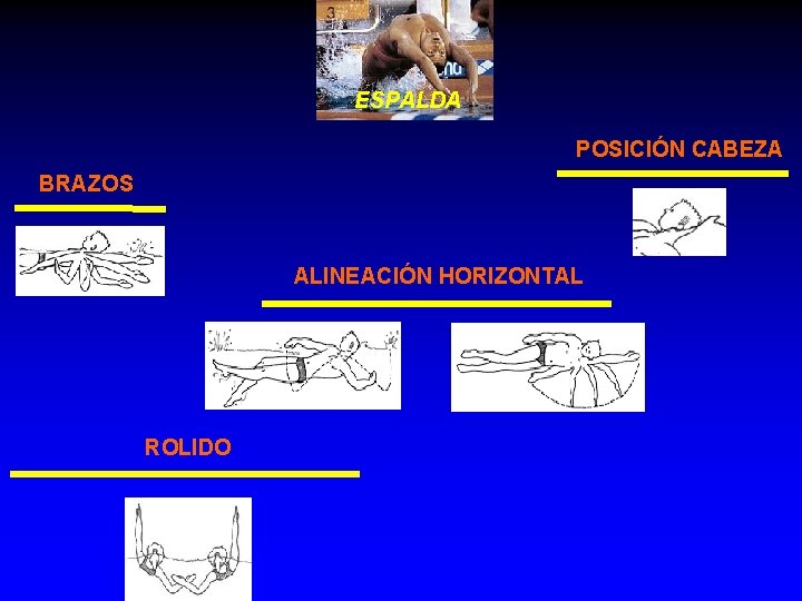 ESPALDA POSICIÓN CABEZA BRAZOS ALINEACIÓN HORIZONTAL ROLIDO ESPALDA POSICIÓN CABEZA BRAZOS ALINEACIÓN HORIZONTAL ROLIDO