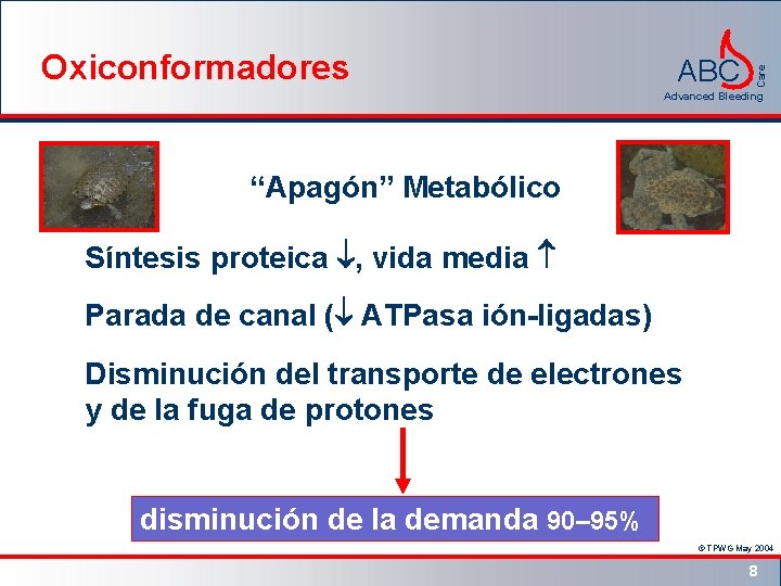 ABC Care Oxiconformadores Advanced Bleeding “Apagón” Metabólico Síntesis proteica , vida media Parada de
