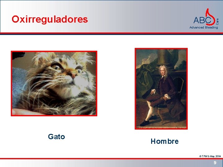 ABC Care Oxirreguladores Advanced Bleeding Gato Hombre © TPWG May 2004 9 