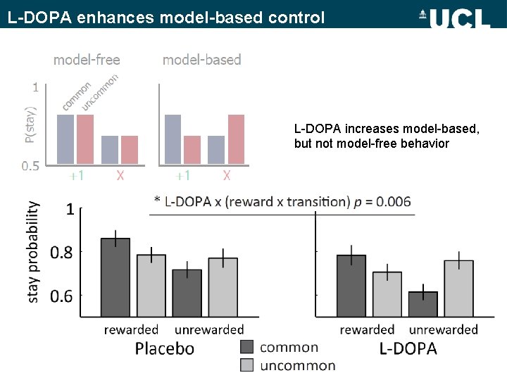 L-DOPA enhances model-based control L-DOPA increases model-based, but not model-free behavior L-DOPA enhances model-based control L-DOPA increases model-based, but not model-free behavior