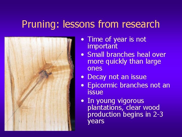 Pruning: lessons from research • Time of year is not important • Small branches