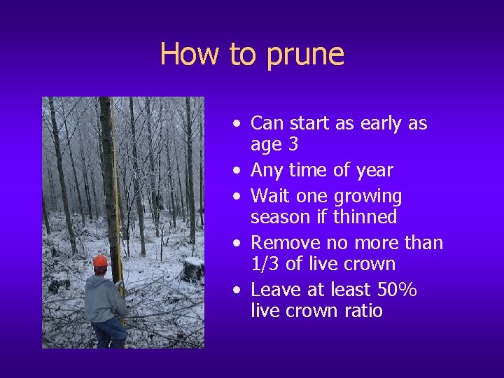How to prune • Can start as early as age 3 • Any time