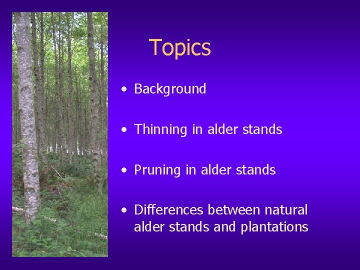 Topics • Background • Thinning in alder stands • Pruning in alder stands •