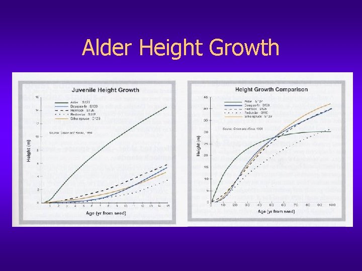 Alder Height Growth 