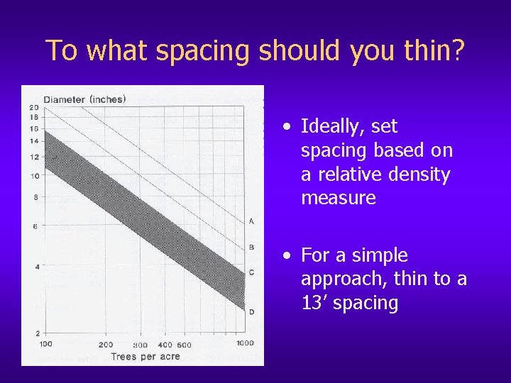 To what spacing should you thin? • Ideally, set spacing based on a relative