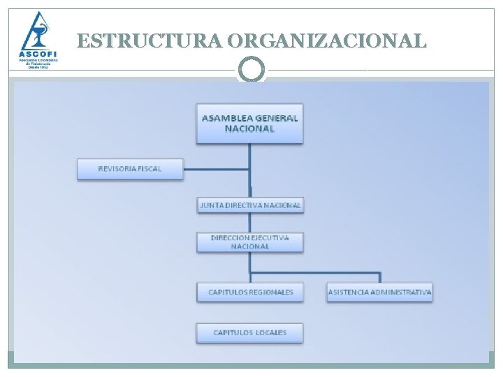 ESTRUCTURA ORGANIZACIONAL 