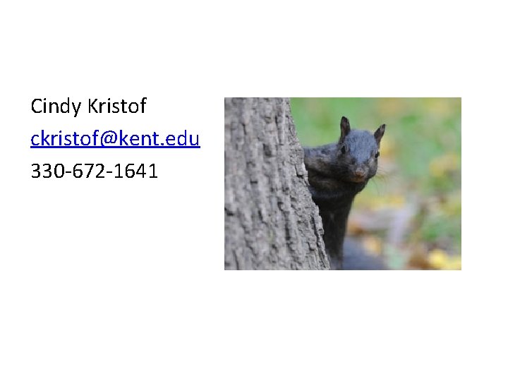 Cindy Kristof ckristof@kent. edu 330 -672 -1641 