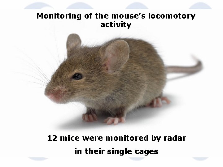 Monitoring of the mouse’s locomotory activity 12 mice were monitored by radar in their