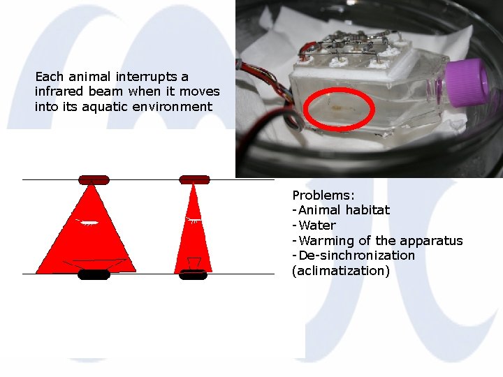 Each animal interrupts a infrared beam when it moves into its aquatic environment Problems: