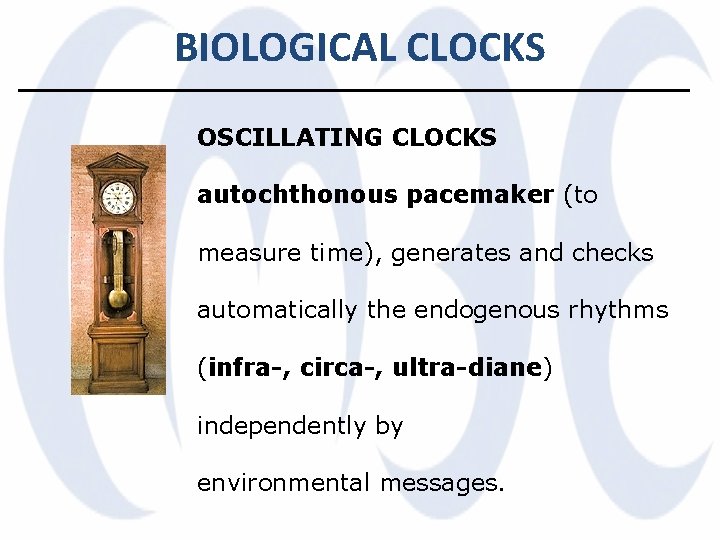 BIOLOGICAL CLOCKS OSCILLATING CLOCKS autochthonous pacemaker (to measure time), generates and checks automatically the