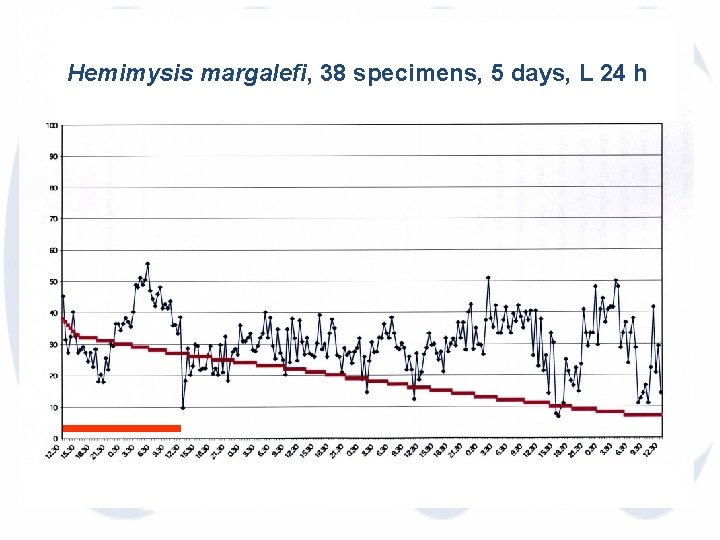 Hemimysis margalefi, 38 specimens, 5 days, L 24 h 