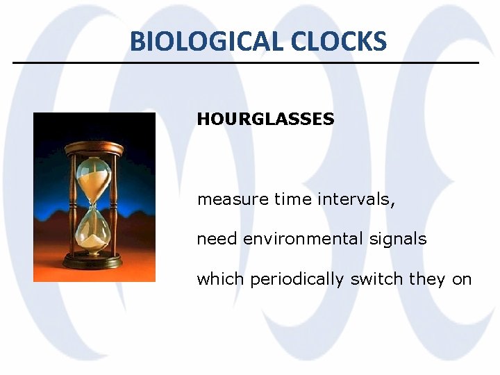 BIOLOGICAL CLOCKS HOURGLASSES measure time intervals, need environmental signals which periodically switch they on