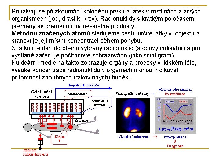 Používají se při zkoumání koloběhu prvků a látek v rostlinách a živých organismech (jod,