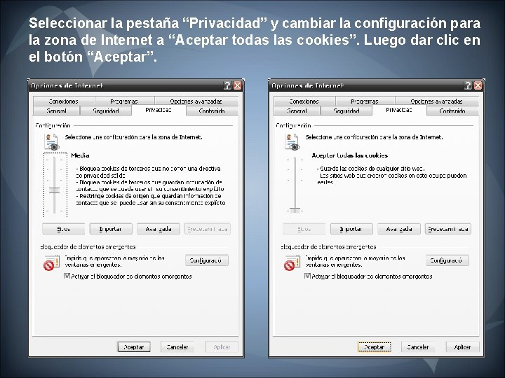 Seleccionar la pestaña “Privacidad” y cambiar la configuración para la zona de Internet a