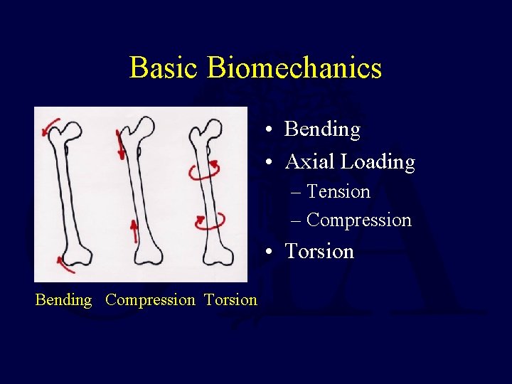 Basic Biomechanics • Bending • Axial Loading – Tension – Compression • Torsion Bending