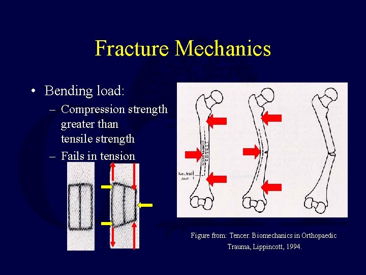 Fracture Mechanics • Bending load: – Compression strength greater than tensile strength – Fails