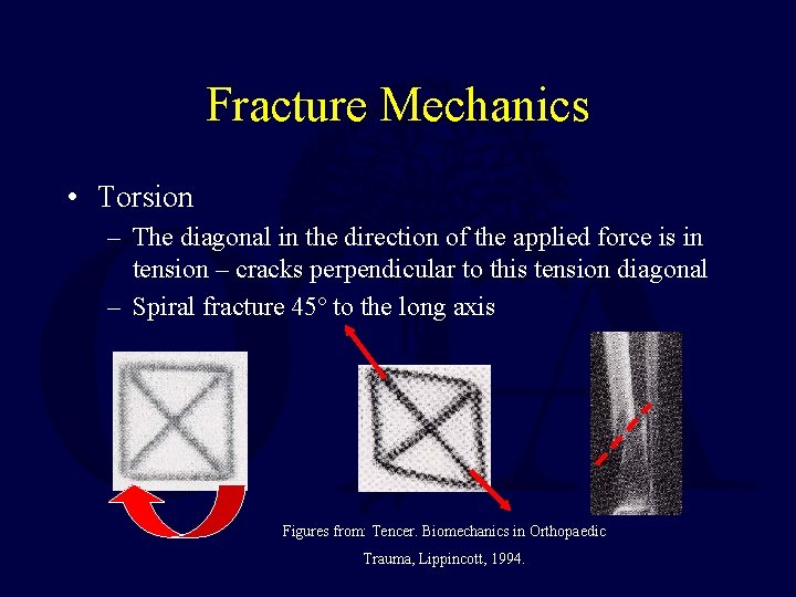 Fracture Mechanics • Torsion – The diagonal in the direction of the applied force