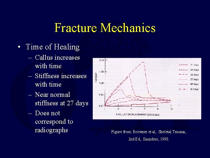 Fracture Mechanics • Time of Healing – Callus increases with time – Stiffness increases