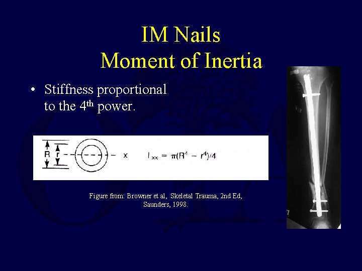 IM Nails Moment of Inertia • Stiffness proportional to the 4 th power. Figure