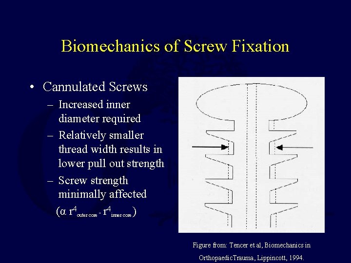 Biomechanics of Screw Fixation • Cannulated Screws – Increased inner diameter required – Relatively