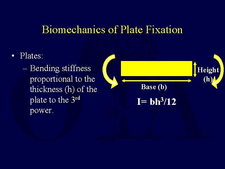 Biomechanics of Plate Fixation • Plates: – Bending stiffness proportional to the thickness (h)