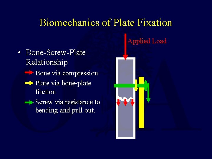 Biomechanics of Plate Fixation Applied Load • Bone-Screw-Plate Relationship – Bone via compression –