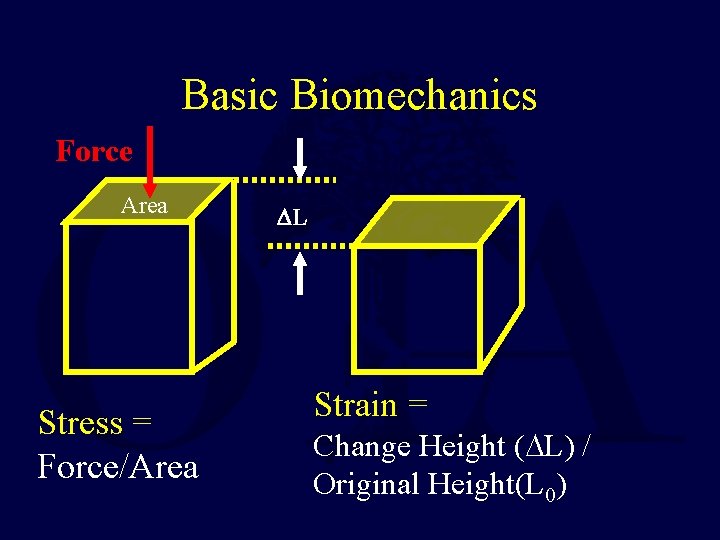 Basic Biomechanics Force Area Stress = Force/Area L Strain = Change Height ( L) Basic Biomechanics Force Area Stress = Force/Area L Strain = Change Height ( L)