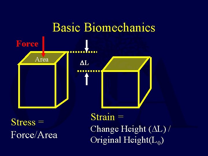 Basic Biomechanics Force Area Stress = Force/Area L Strain = Change Height ( L)