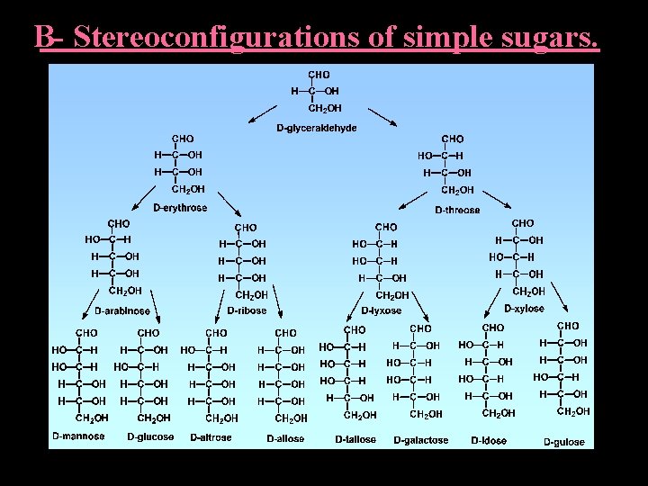 B- Stereoconfigurations of simple sugars. 