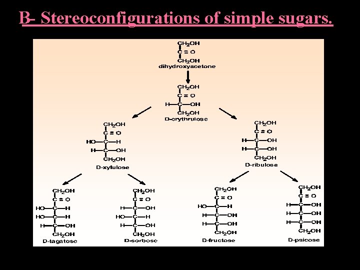 B- Stereoconfigurations of simple sugars. 