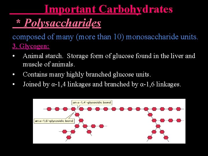  Important Carbohydrates * Polysaccharides composed of many (more than 10) monosaccharide units. 3.