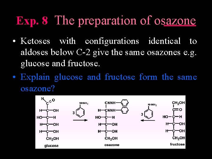 CARBOHYDRATES General Information Carbohydrates are the most abundant