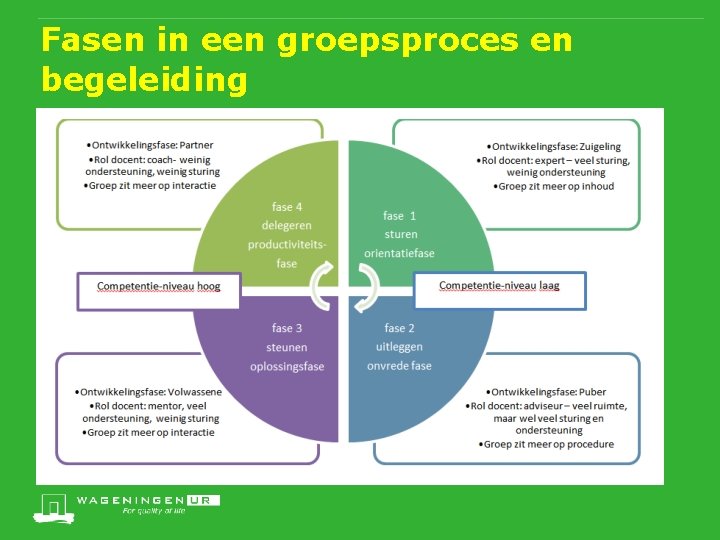 Fasen in een groepsproces en begeleiding 